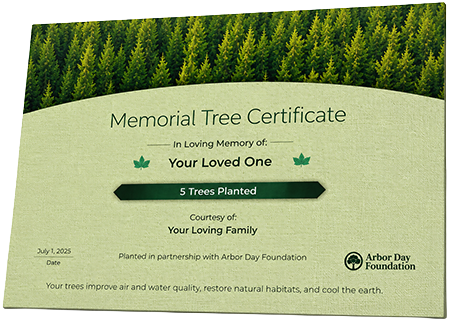 Plant Trees in Memory of Joyce Hall